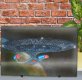 Star Trek:TNG METAL print