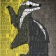 Hufflepuff House